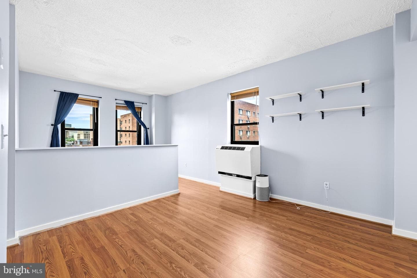 1001 Saint Paul Street #8b photo 4