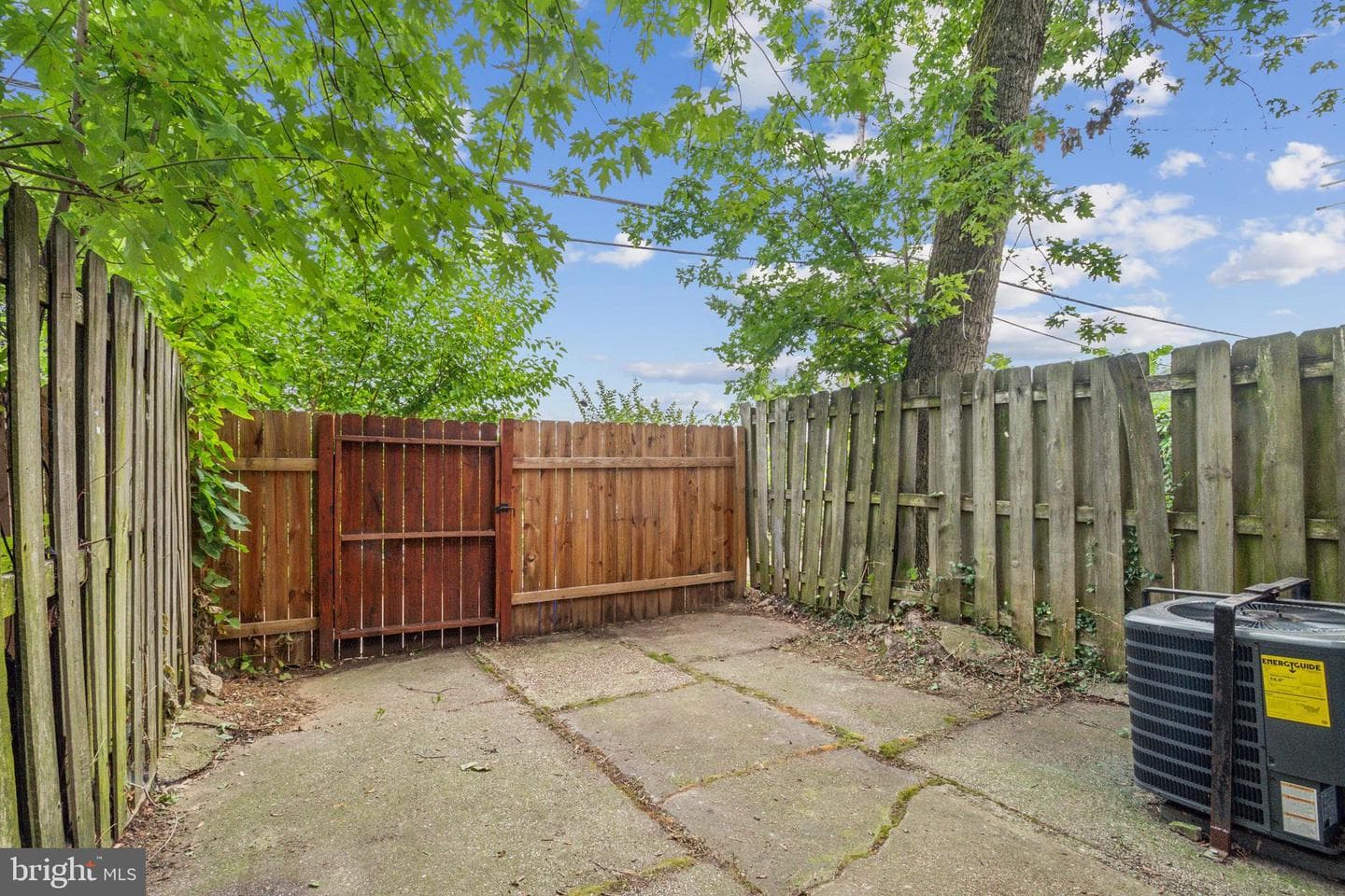 3220 Elmley Avenue photo 17