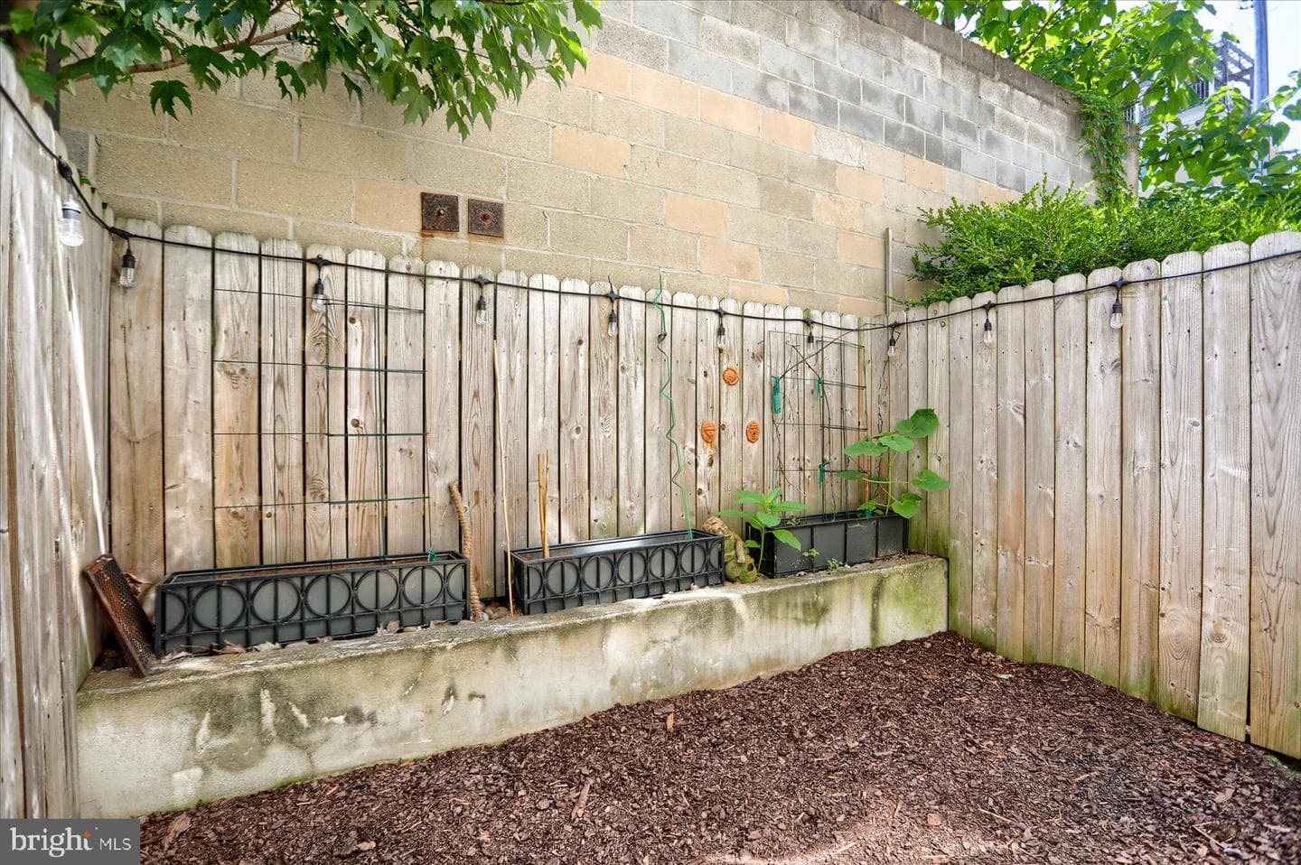 1001 Baylis Street photo 15