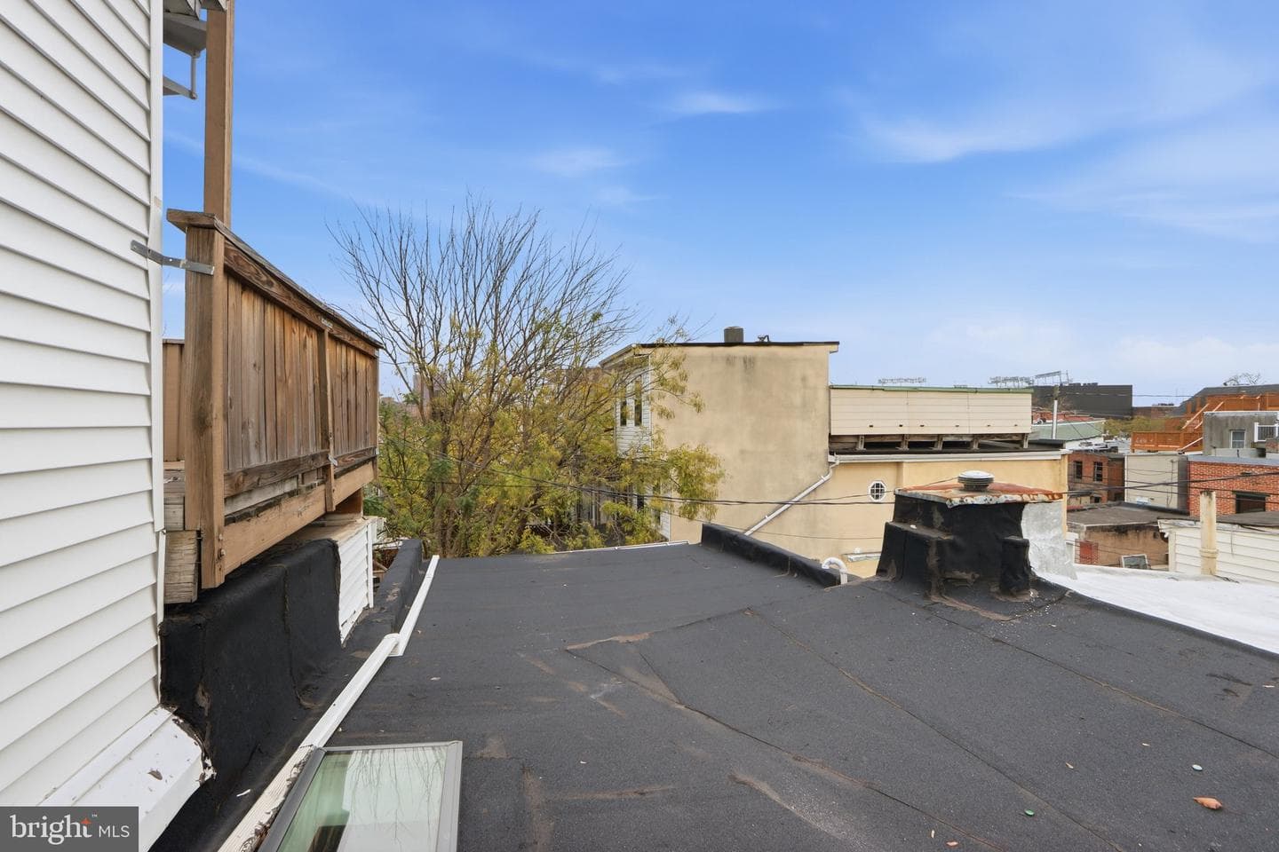 711 Scott Street photo 35