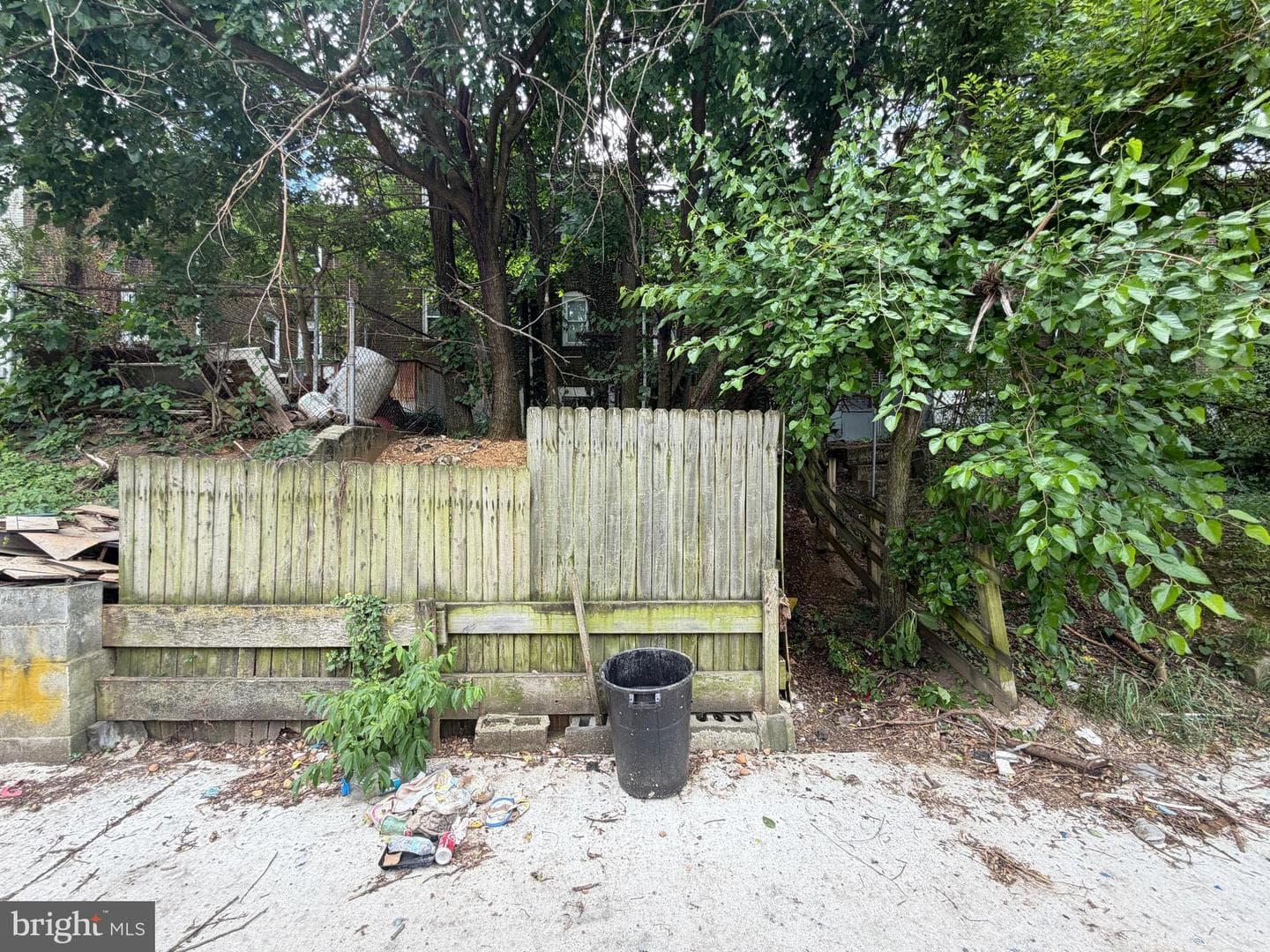 826 Jack Street photo 21