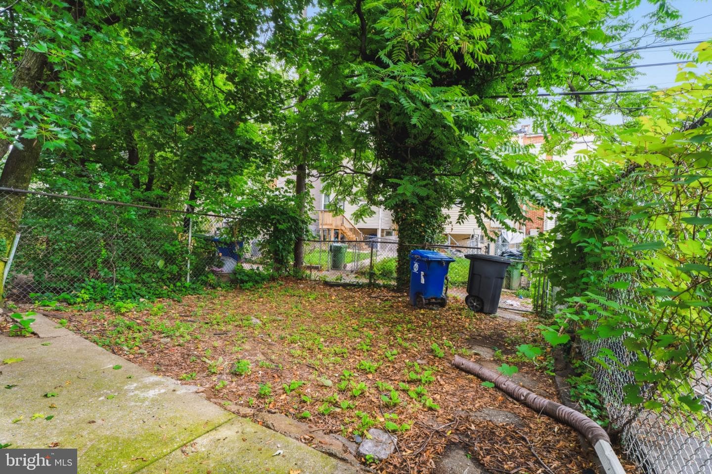 730 Linnard Street photo 31