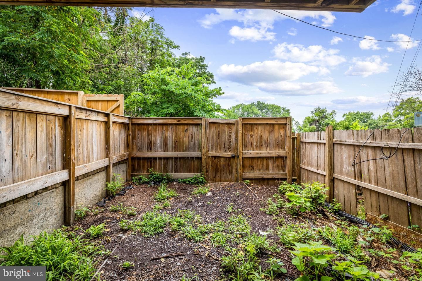 307 Font Hill Avenue photo 29
