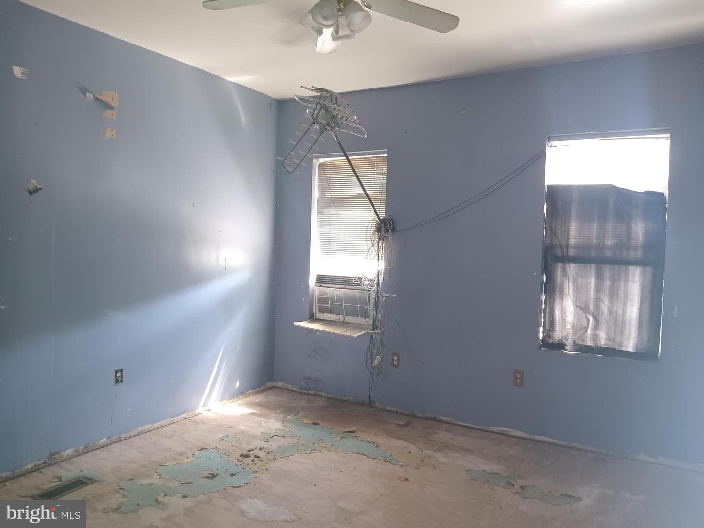 536 Brunswick Street photo 6
