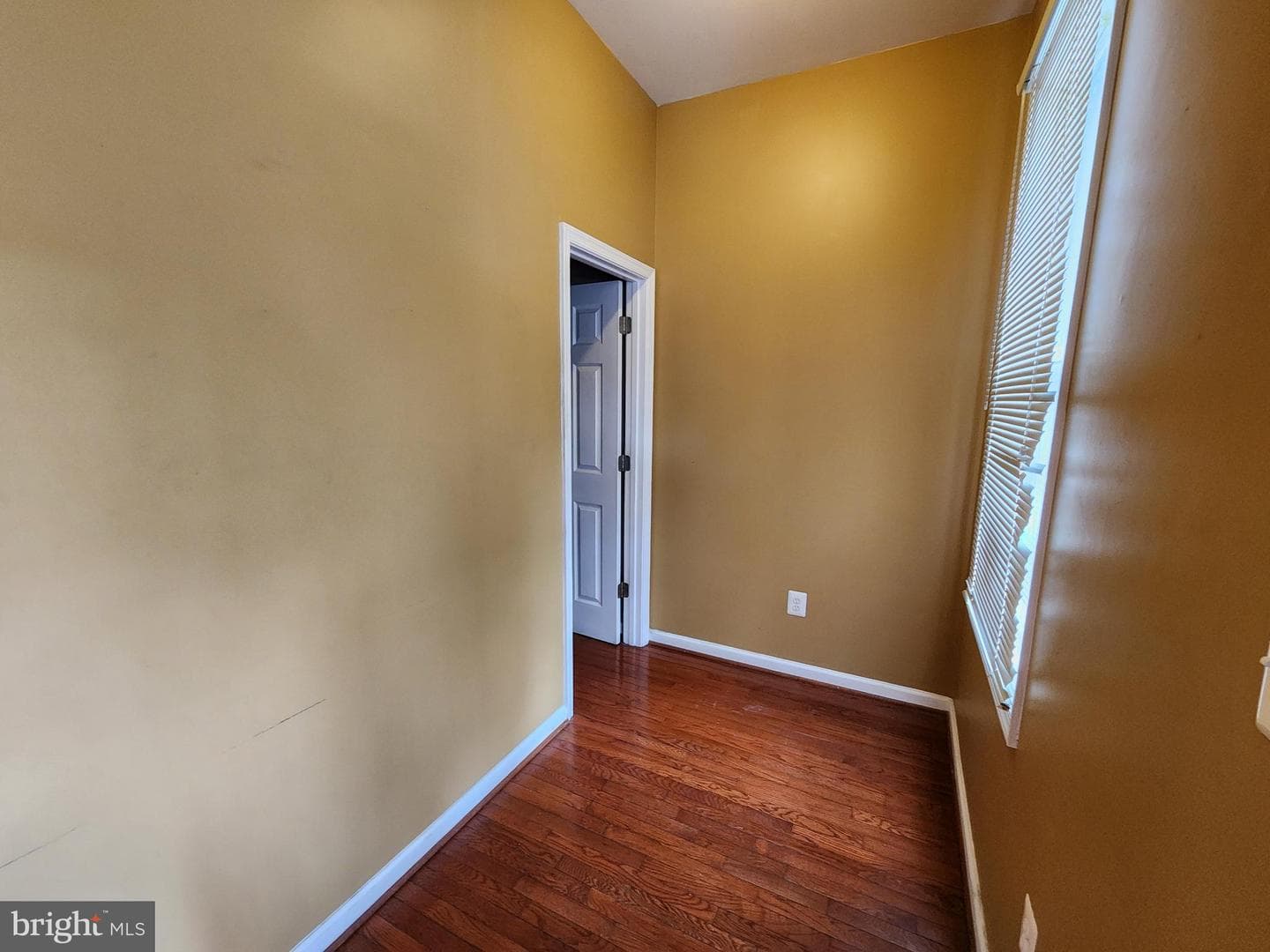 506 N Chester Street photo 5