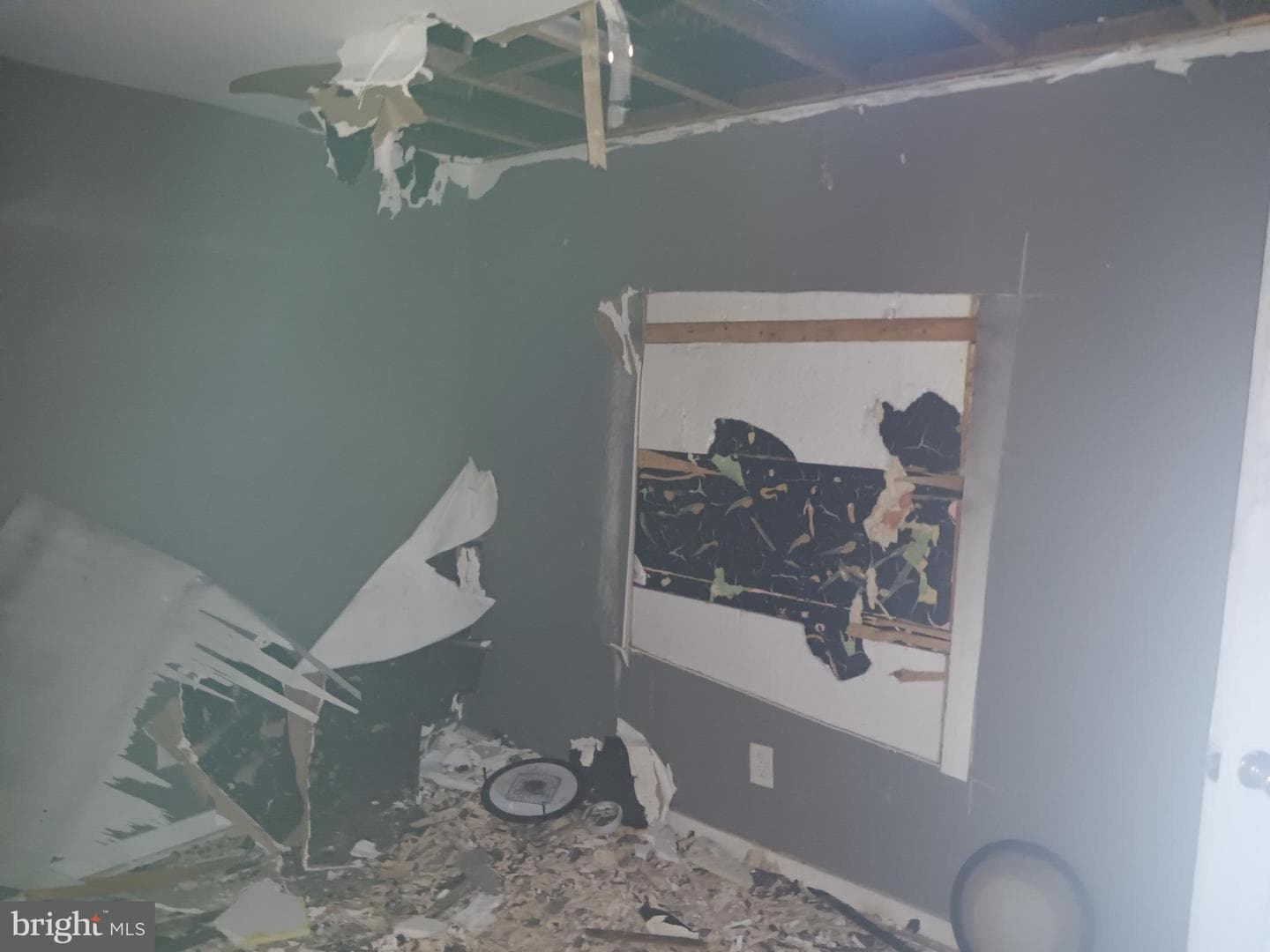 2103 Wilhelm Street photo 5