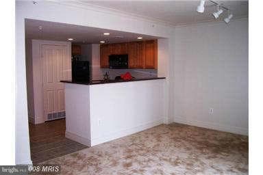 414 Water Street #1404 photo 5