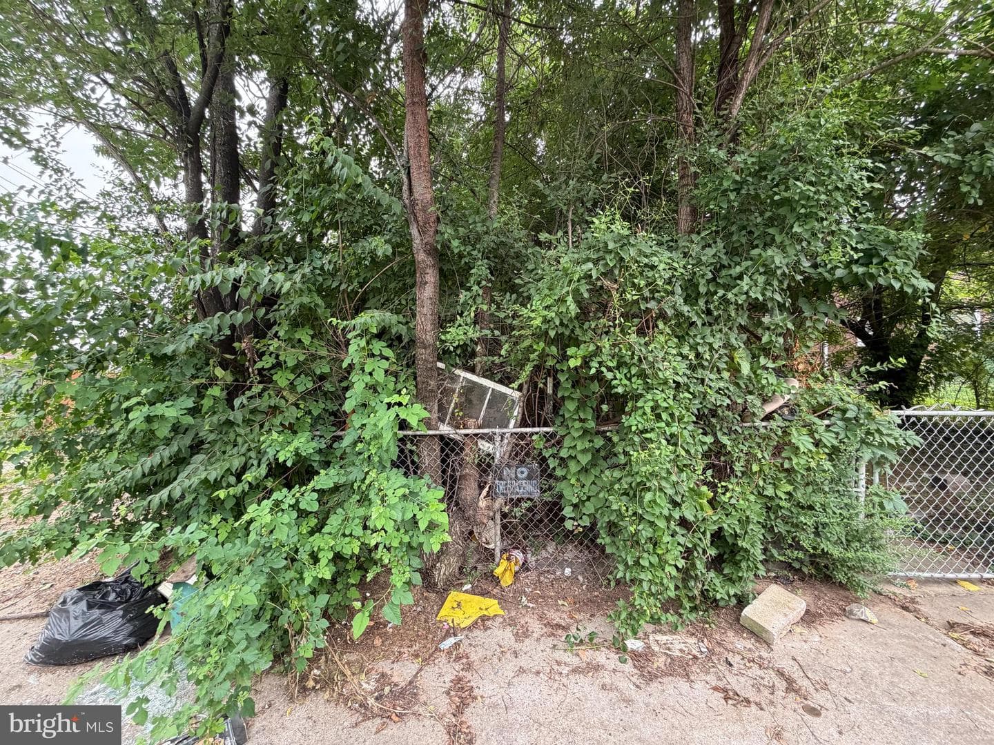 612 Arsan Avenue photo 10