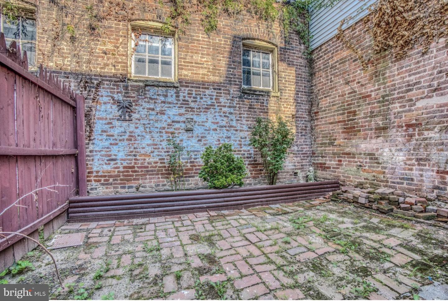 1125 William Street photo 5