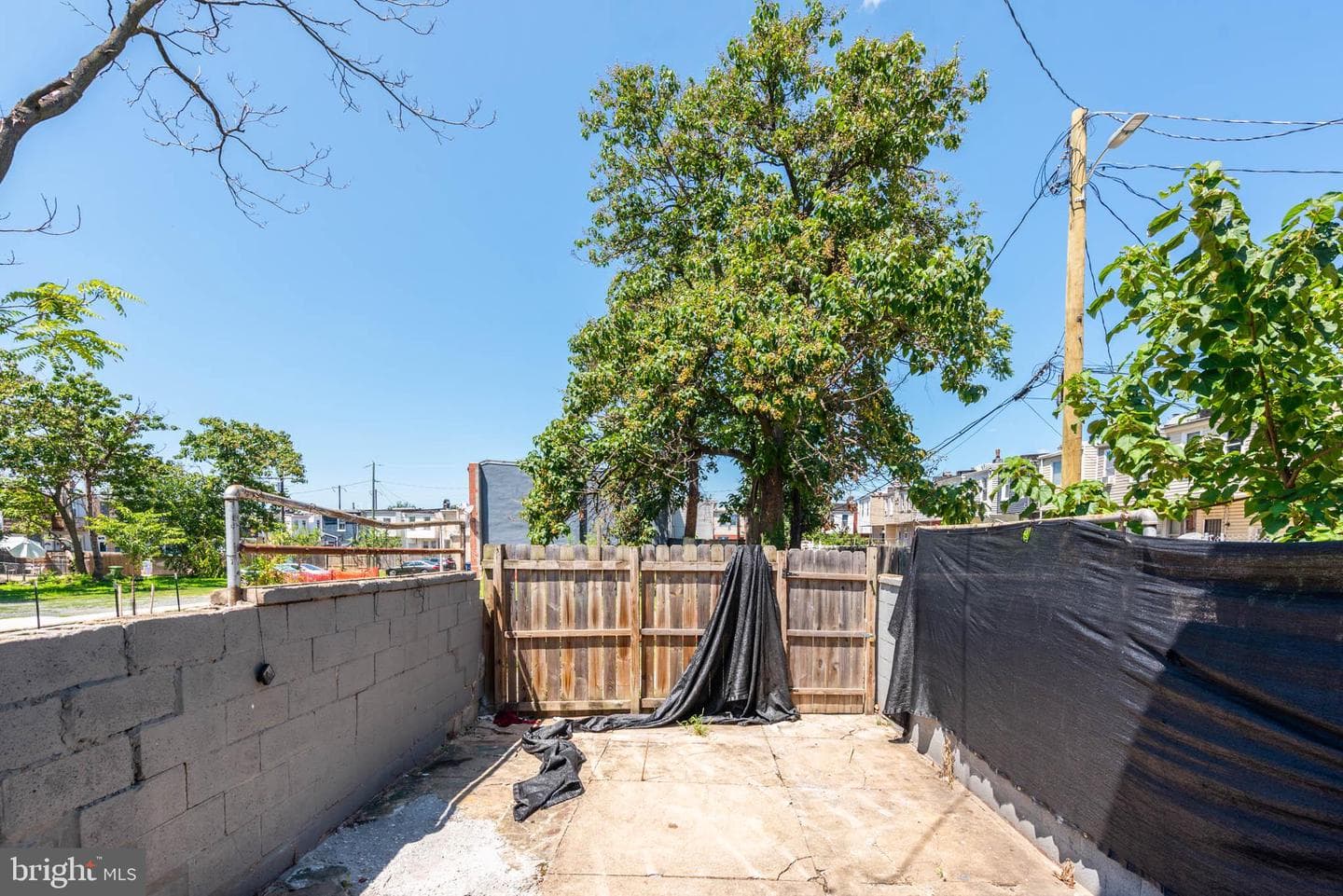 2316 E Madison Street photo 22