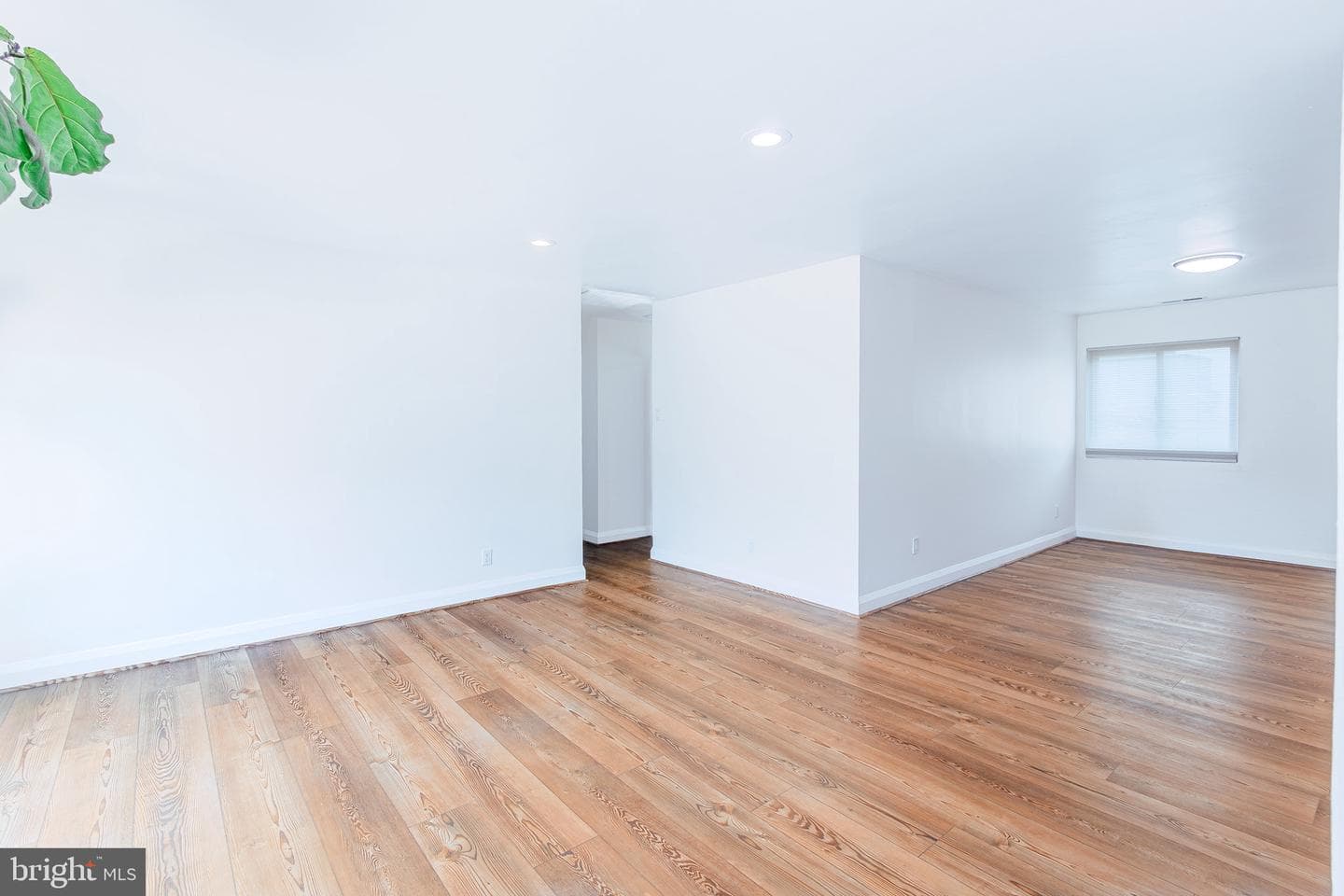 7240 Park Heights Avenue #210 photo 23