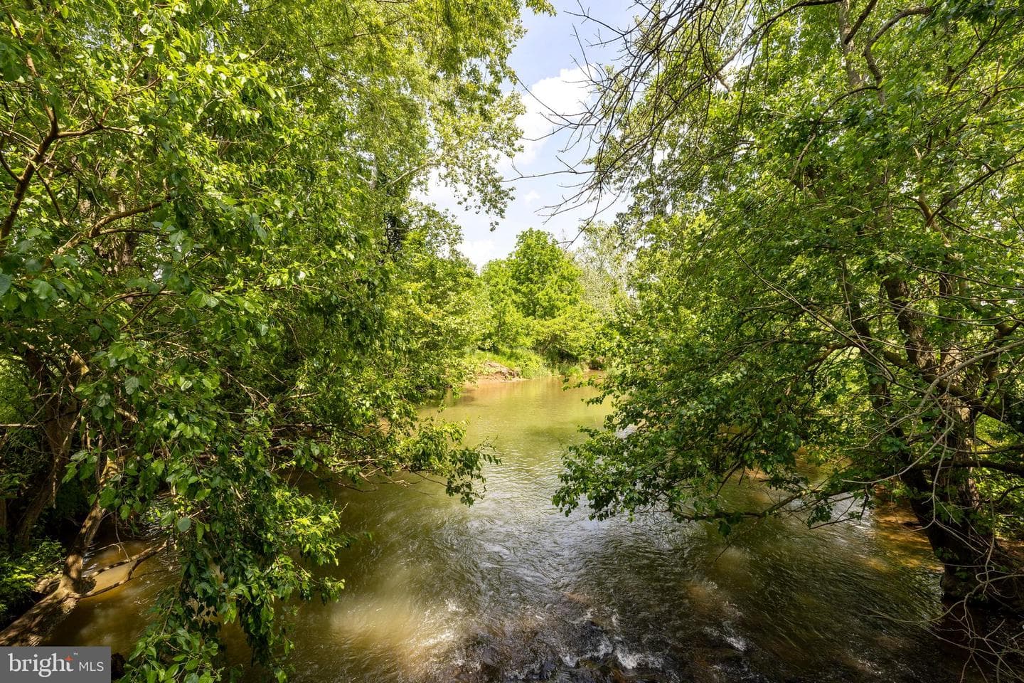 14111 Green Road photo 139