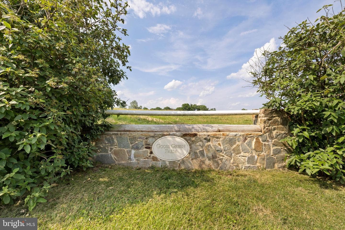 14111 Green Road photo 146