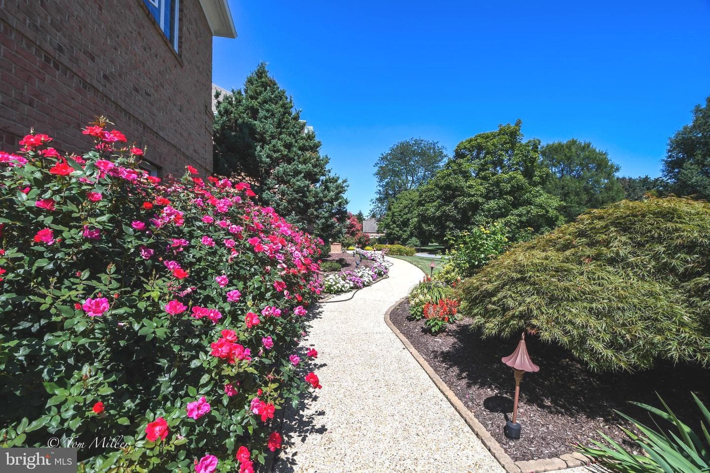 6 Hillspoint Court photo 5