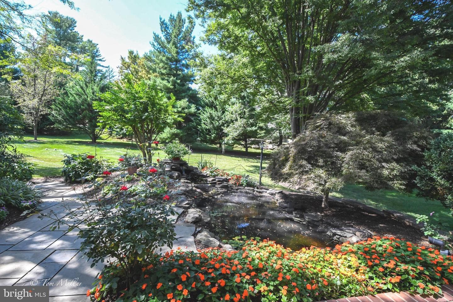 6 Hillspoint Court photo 60