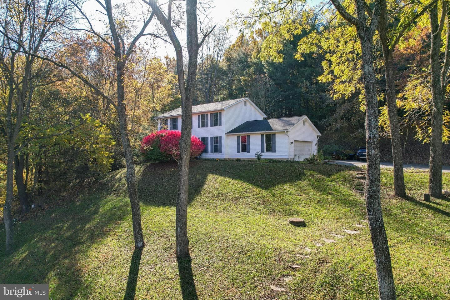 8911 Dogwood Road photo 1