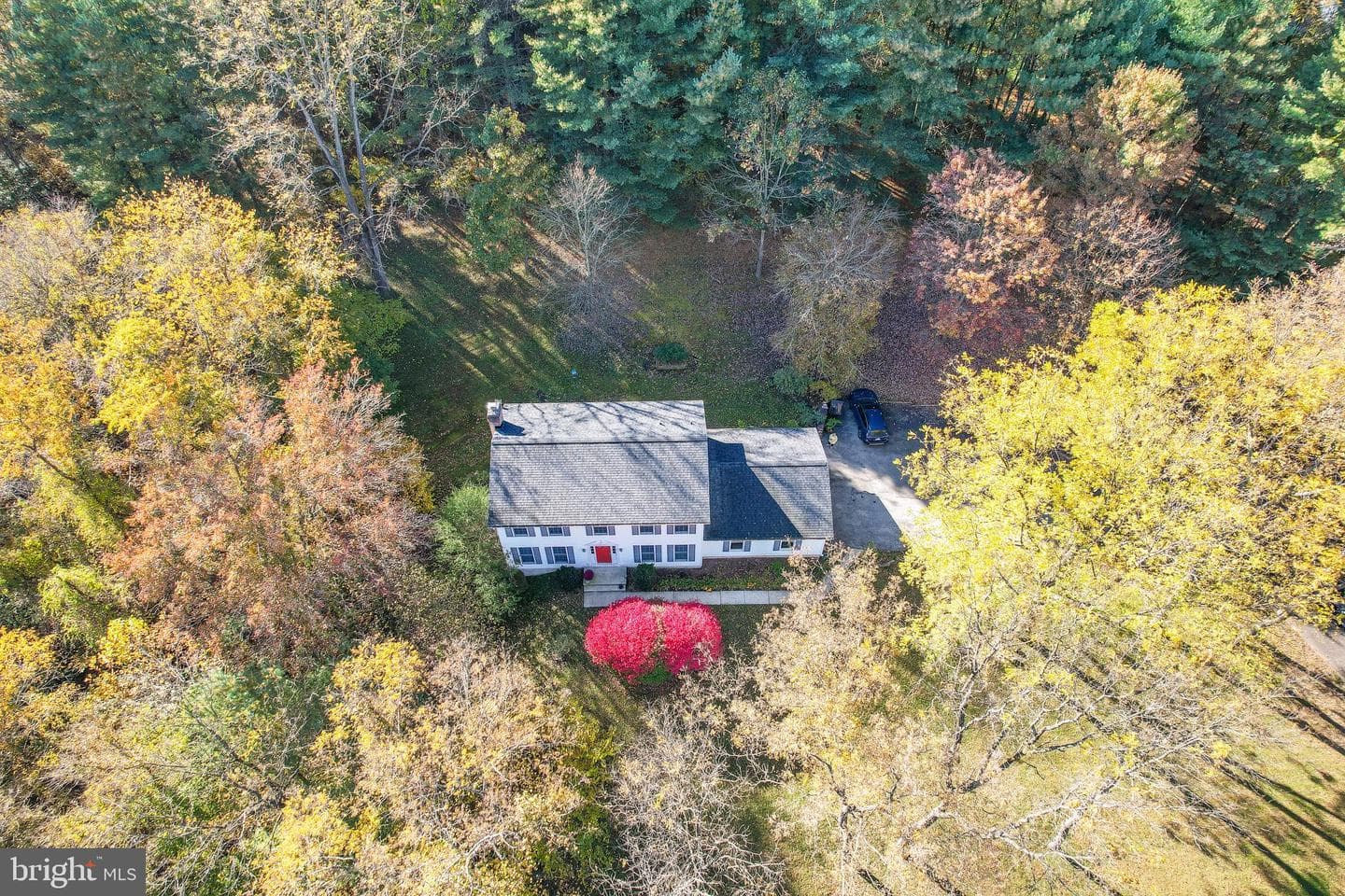 8911 Dogwood Road photo 3