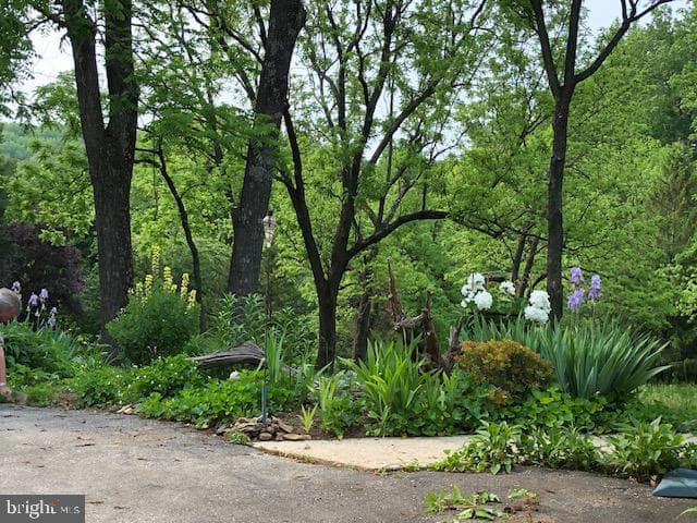 8911 Dogwood Road photo 53