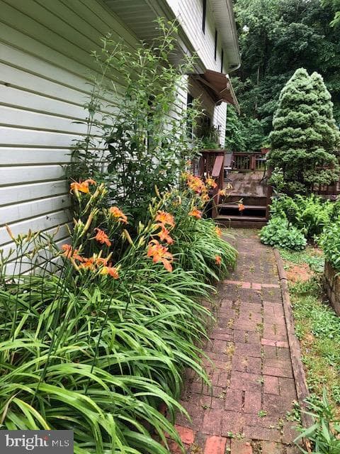 8911 Dogwood Road photo 56