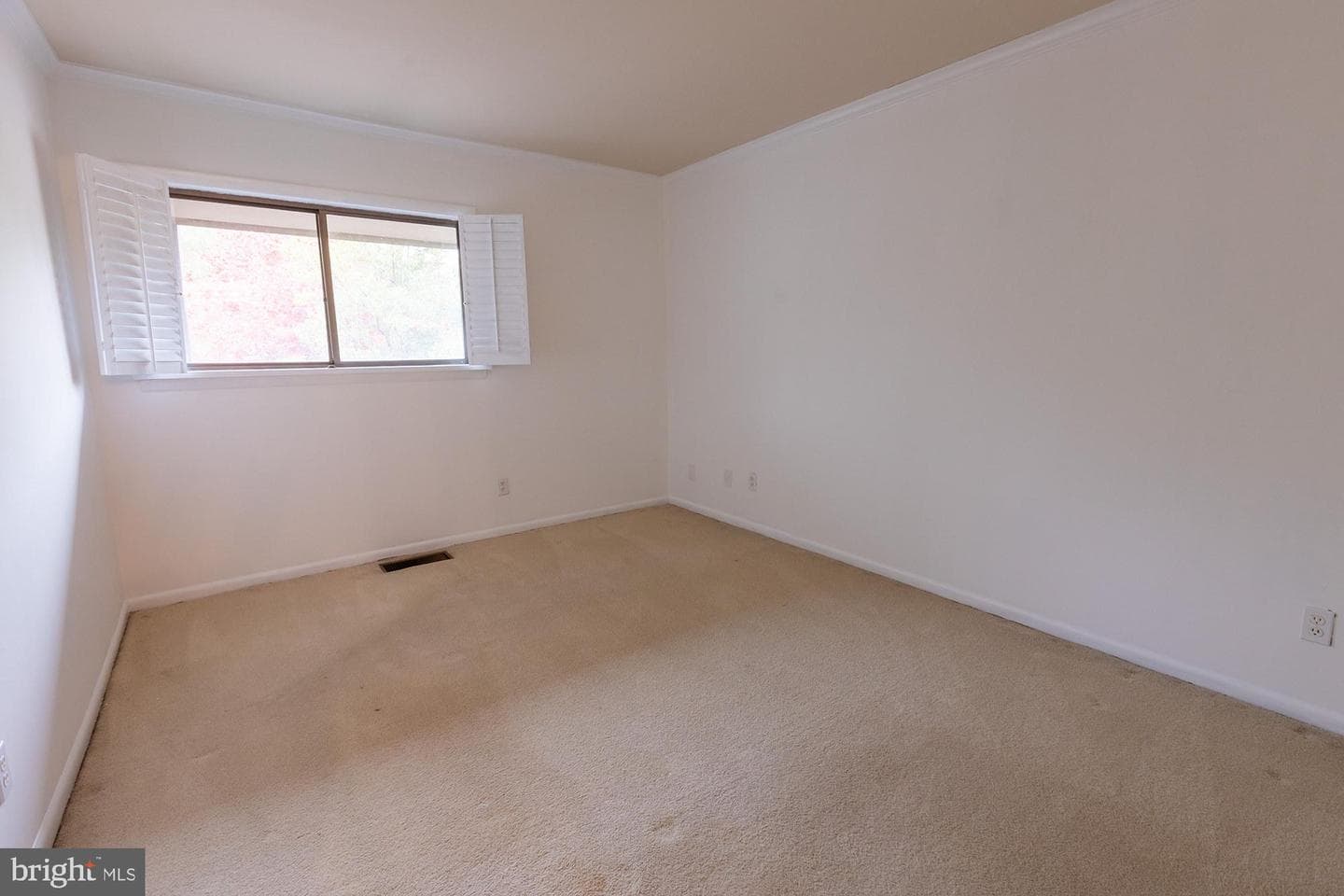 231 Deer Fox Lane photo 10