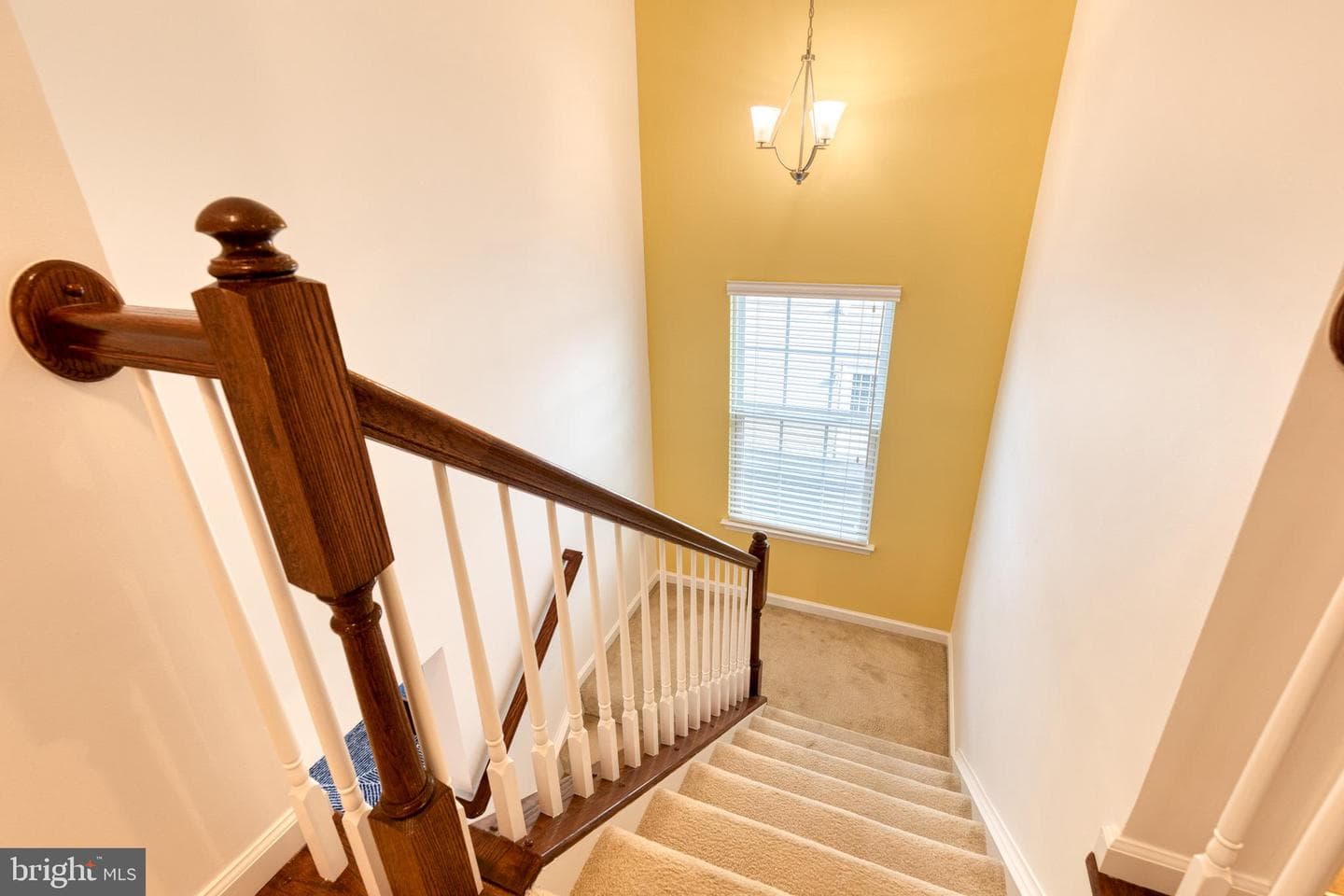 7736 Inwood Avenue photo 27