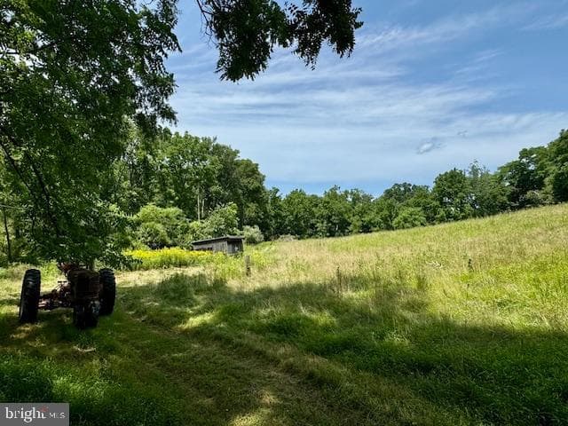 1507 Freeland Road photo 4