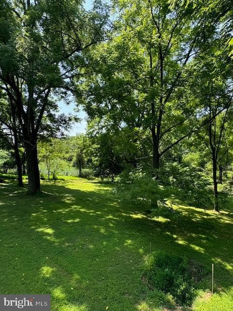 1507 Freeland Road photo 5
