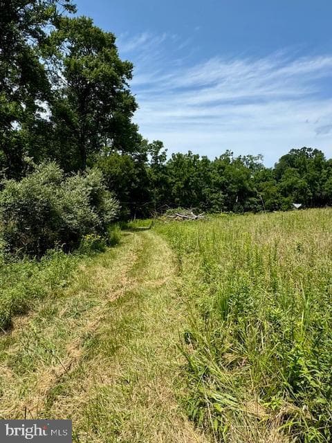 1507 Freeland Road photo 6