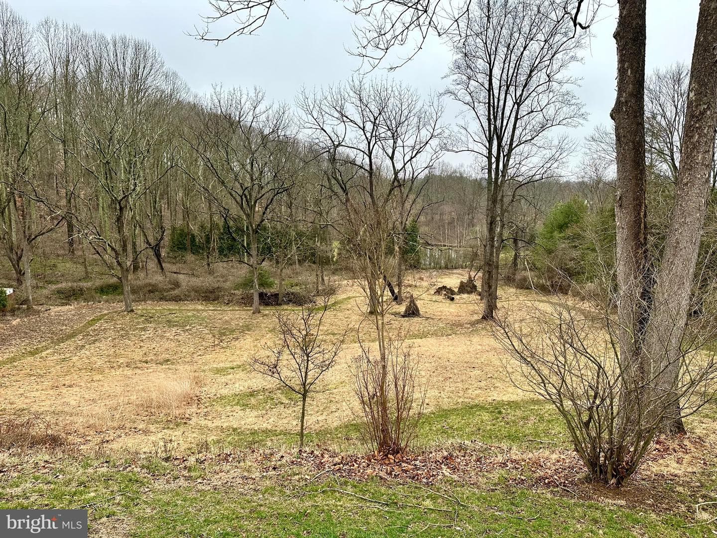 14510 Cuba Road photo 18