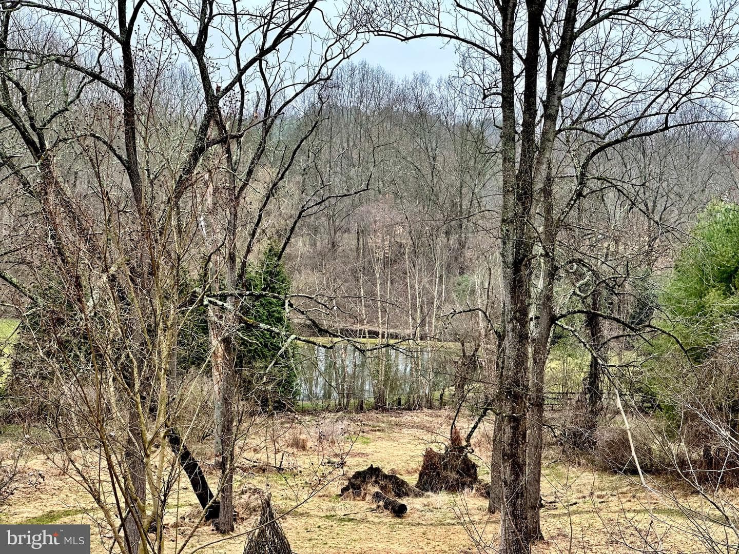 14510 Cuba Road photo 20