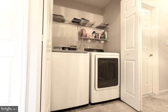 8814 Howard Forest Lane #8814 photo 30