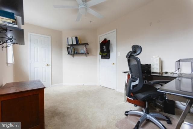 8814 Howard Forest Lane #8814 photo 33