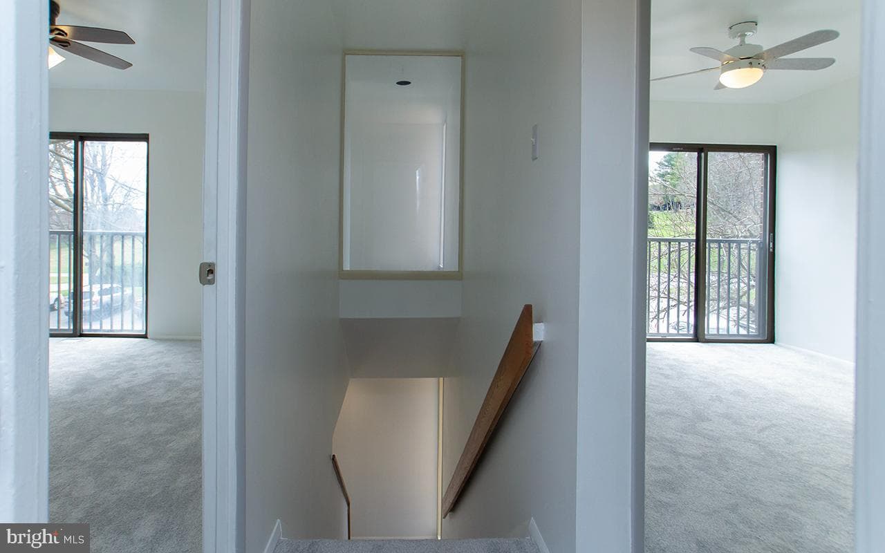 21 Wimpole Court #f photo 19