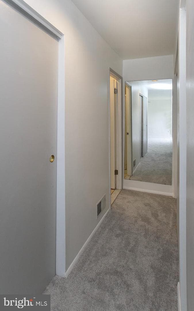 21 Wimpole Court #f photo 26