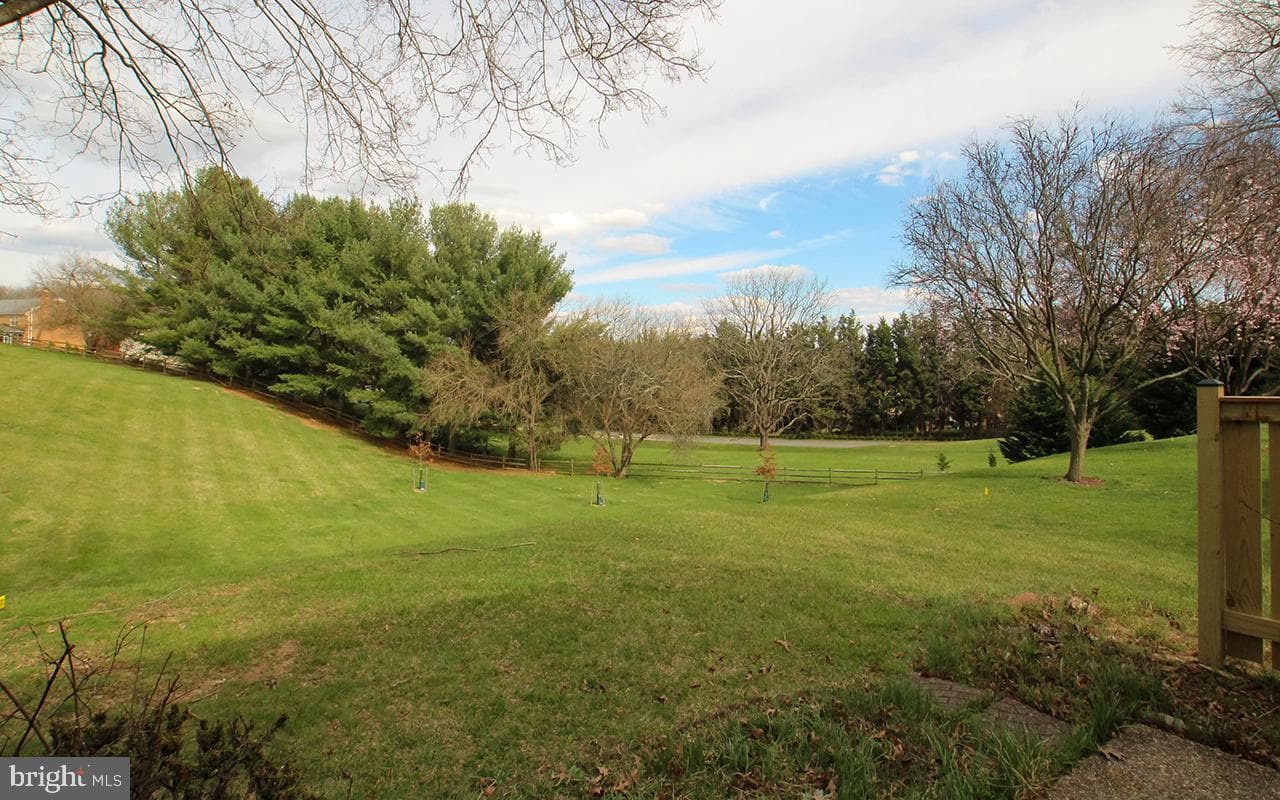 21 Wimpole Court #f photo 40