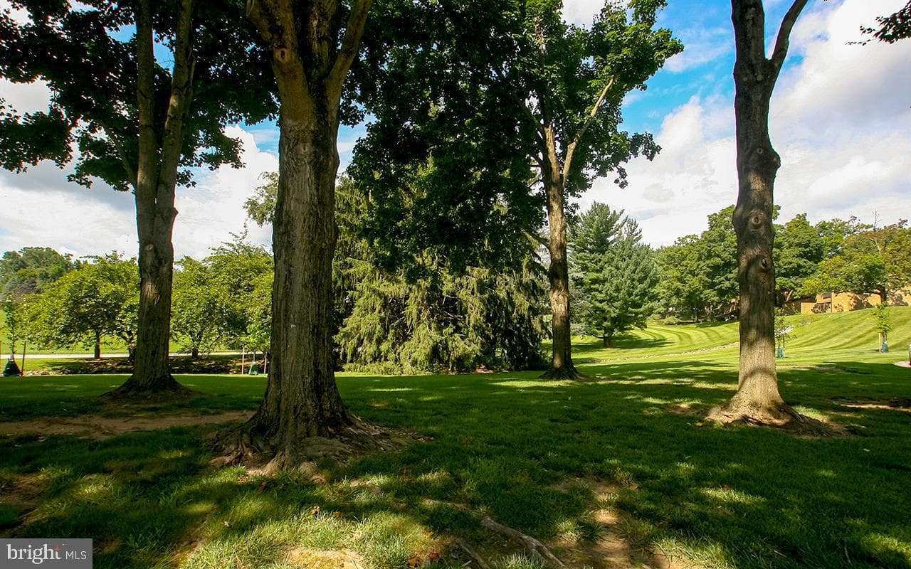 21 Wimpole Court #f photo 42
