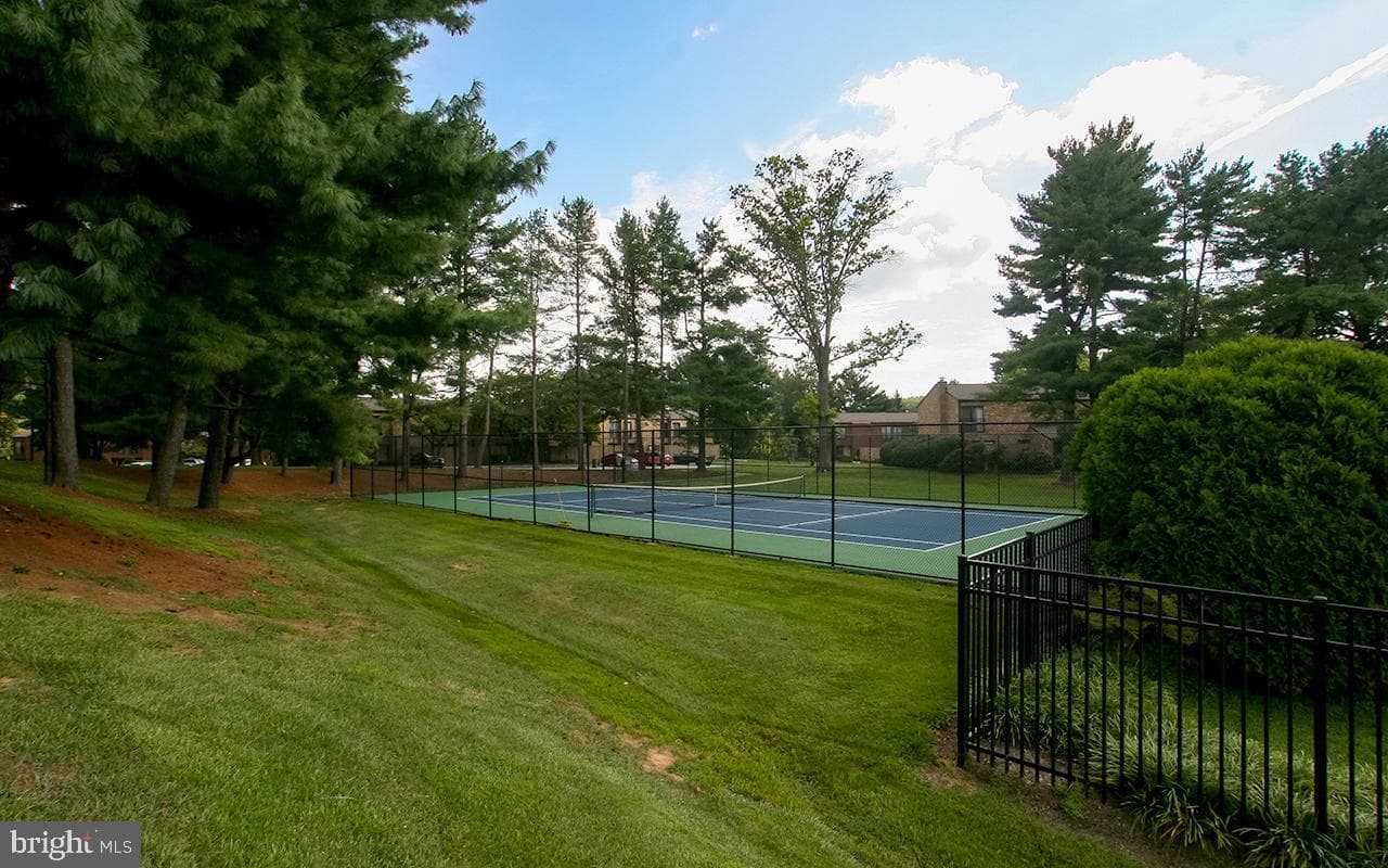 21 Wimpole Court #f photo 43