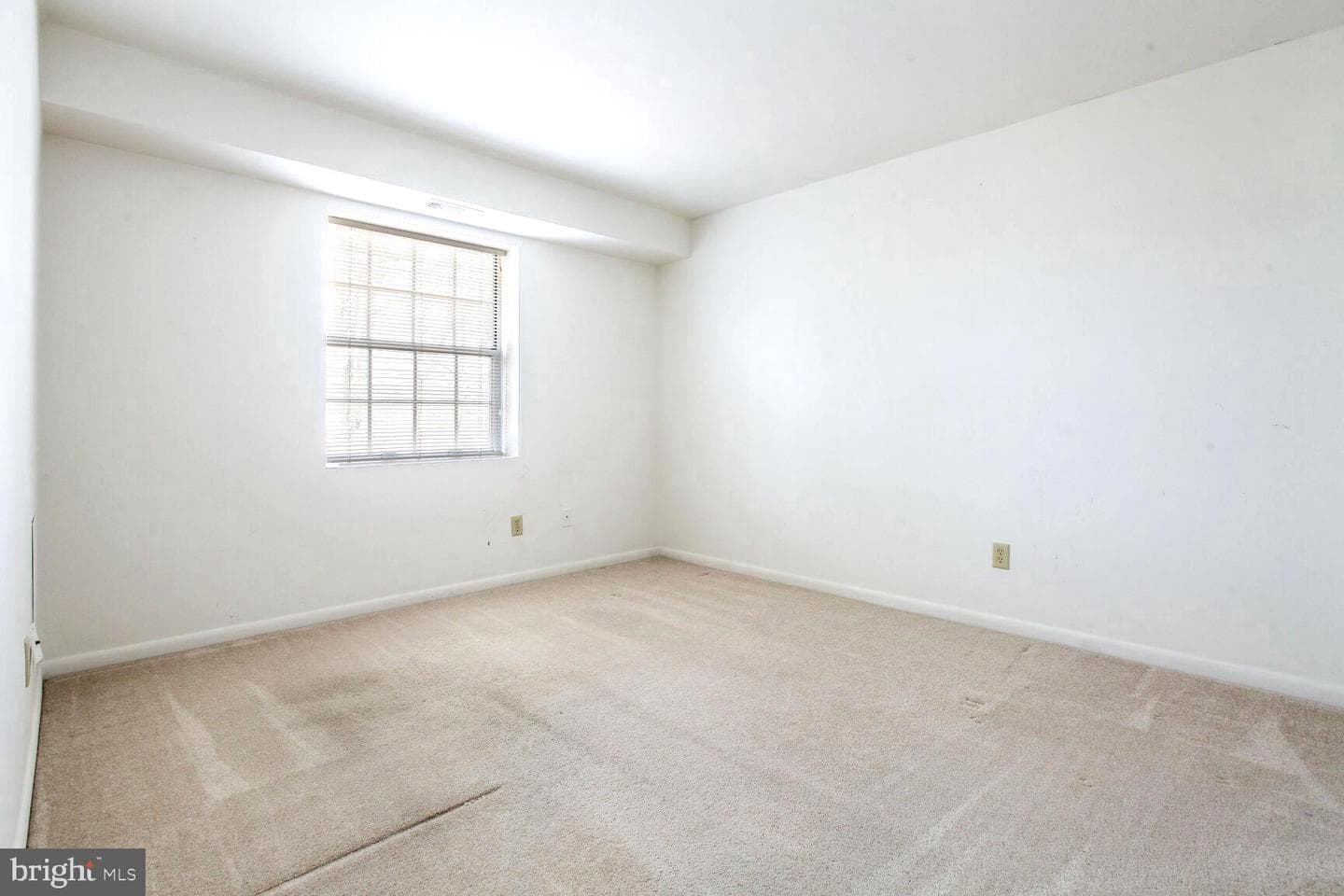 114 Castletown Road #301 photo 13