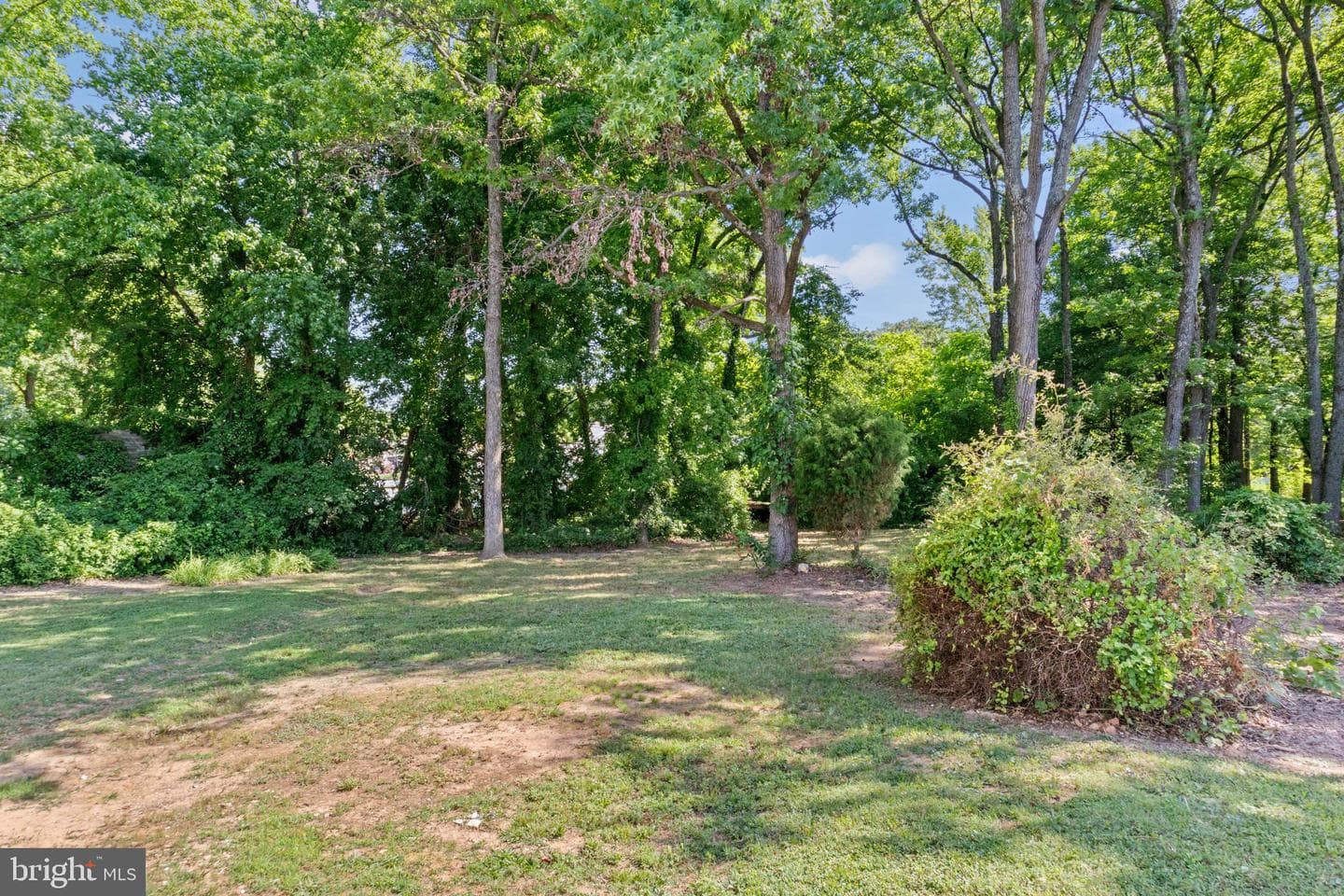 339 George Avenue photo 38