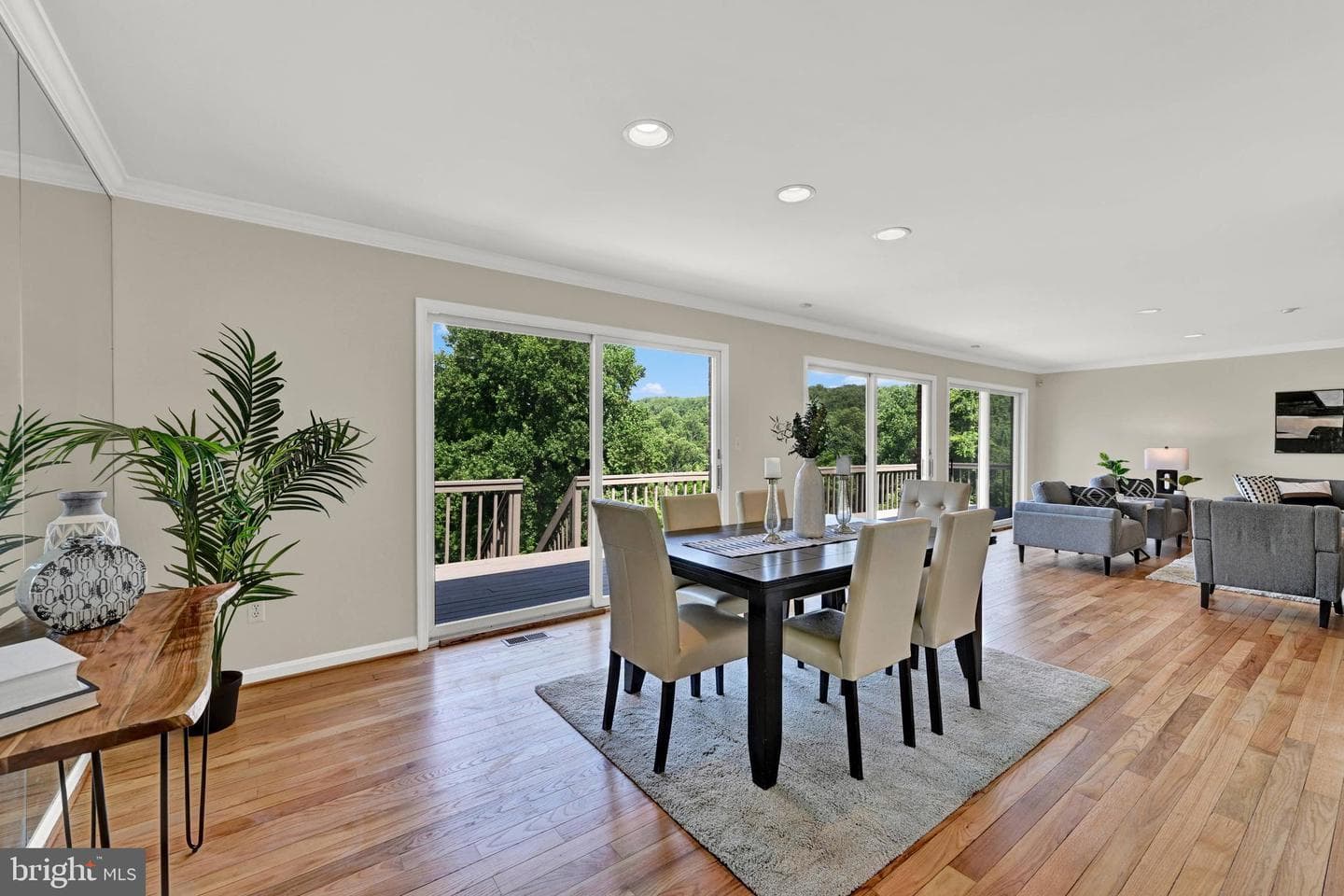 9 Hunt Valley View Terrace photo 7
