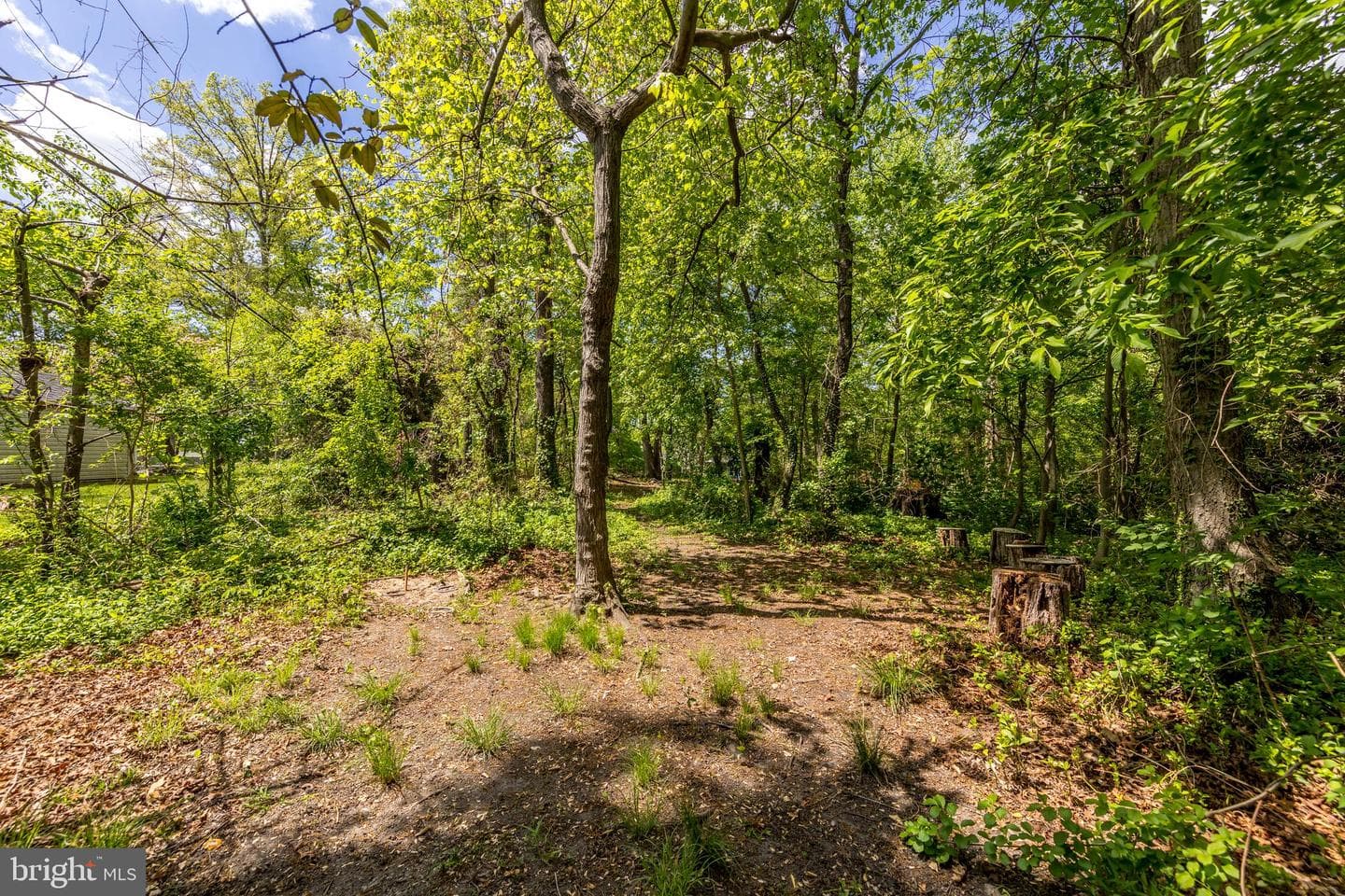 1700 Ridgely Garth photo 36
