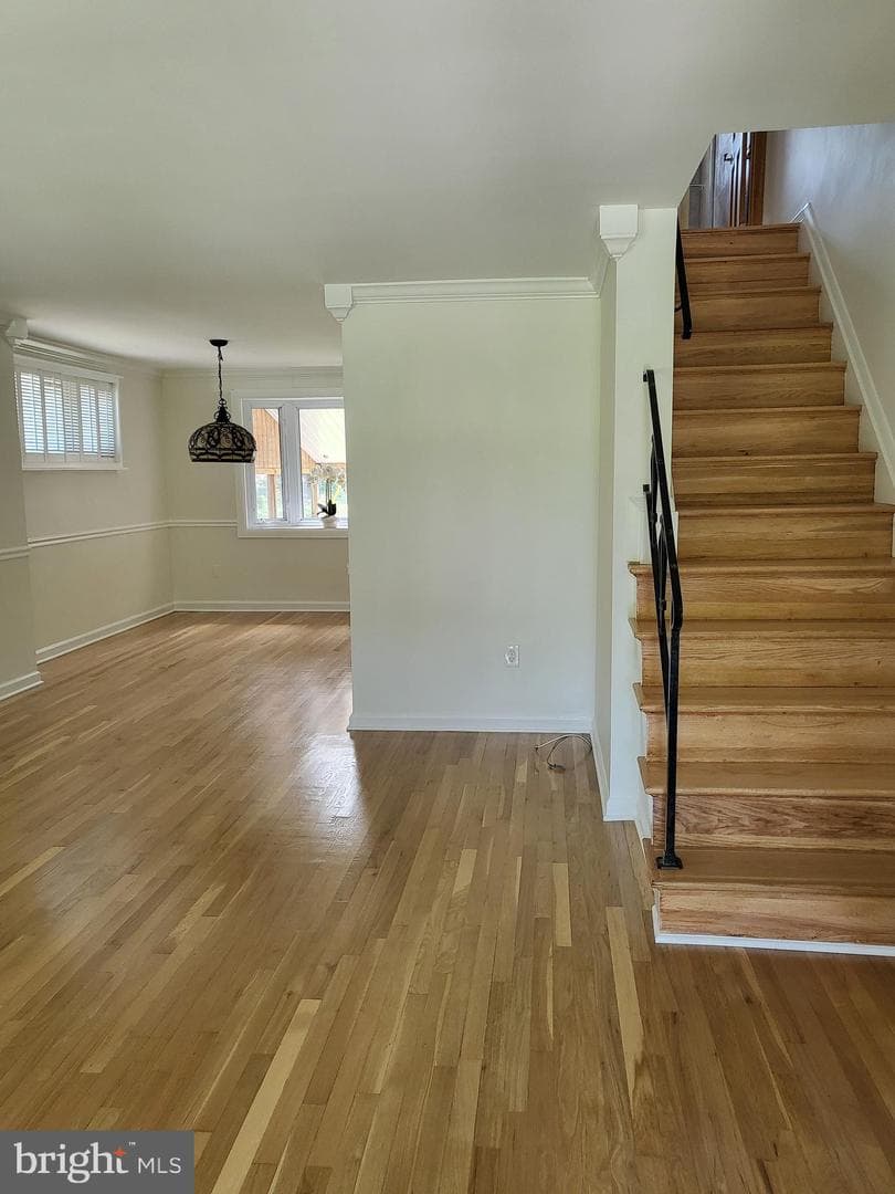 2119 Wilker Avenue photo 4
