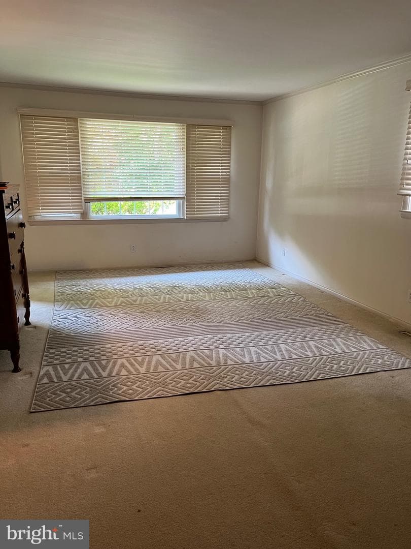 247 Fallsbrook Road photo 20