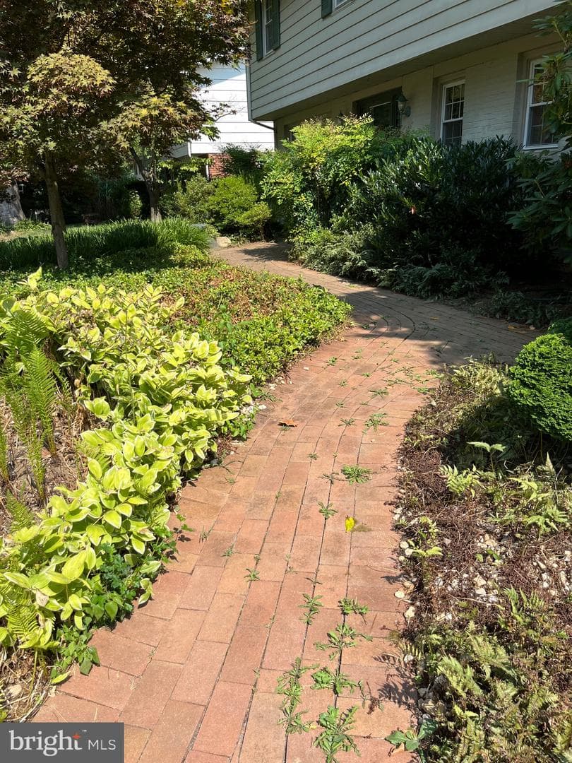 247 Fallsbrook Road photo 4