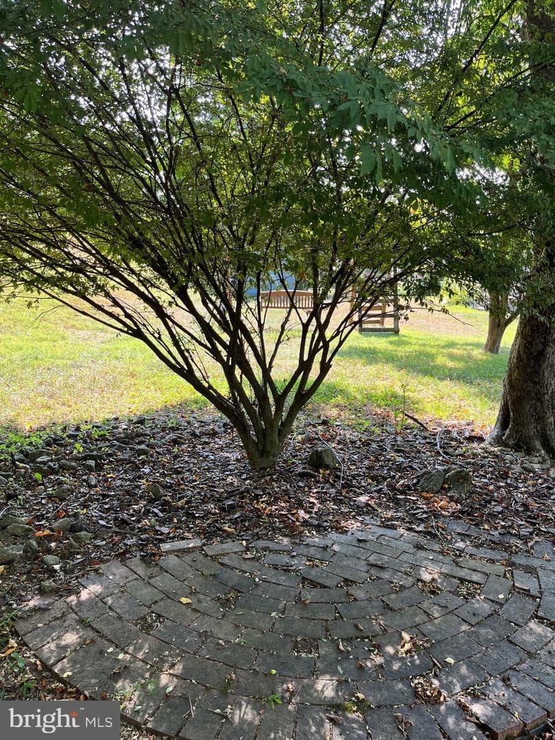 247 Fallsbrook Road photo 41