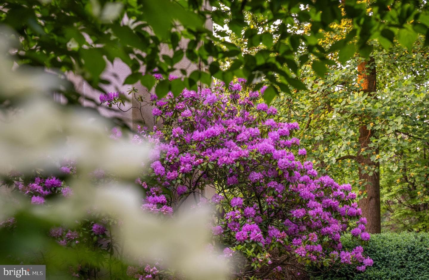 1751 Monkton Farms Drive photo 12