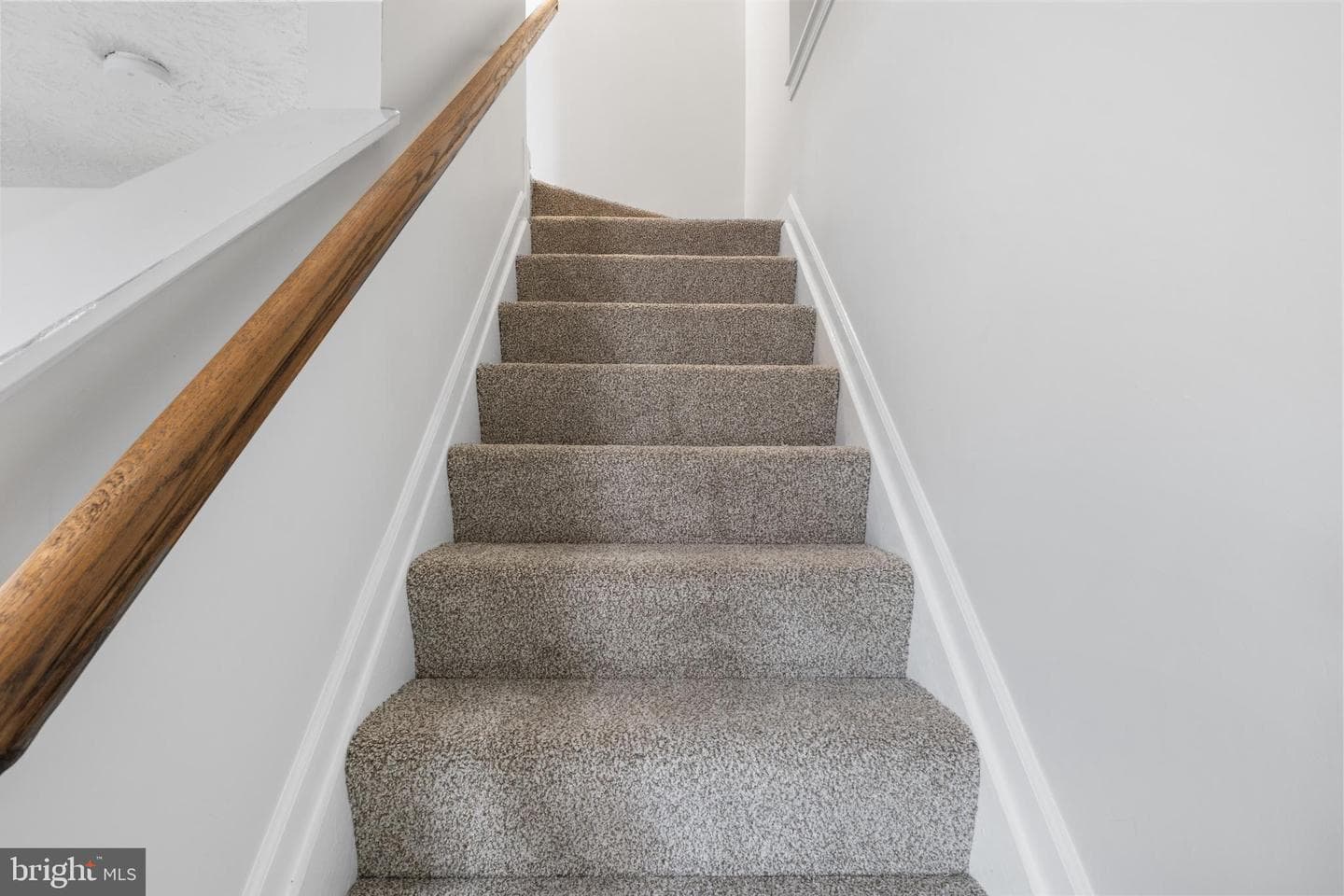 17 Camellia Court photo 15