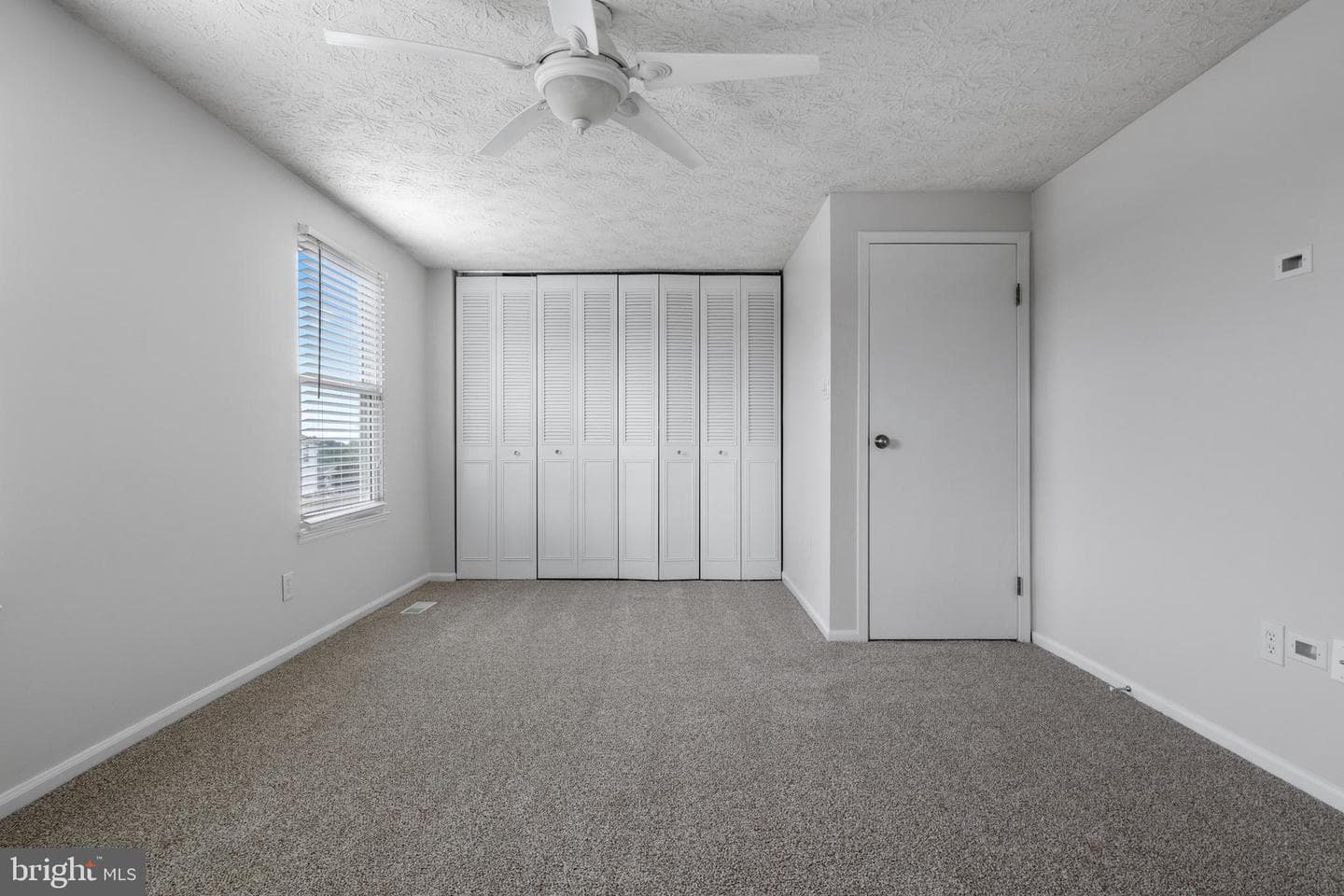 17 Camellia Court photo 17