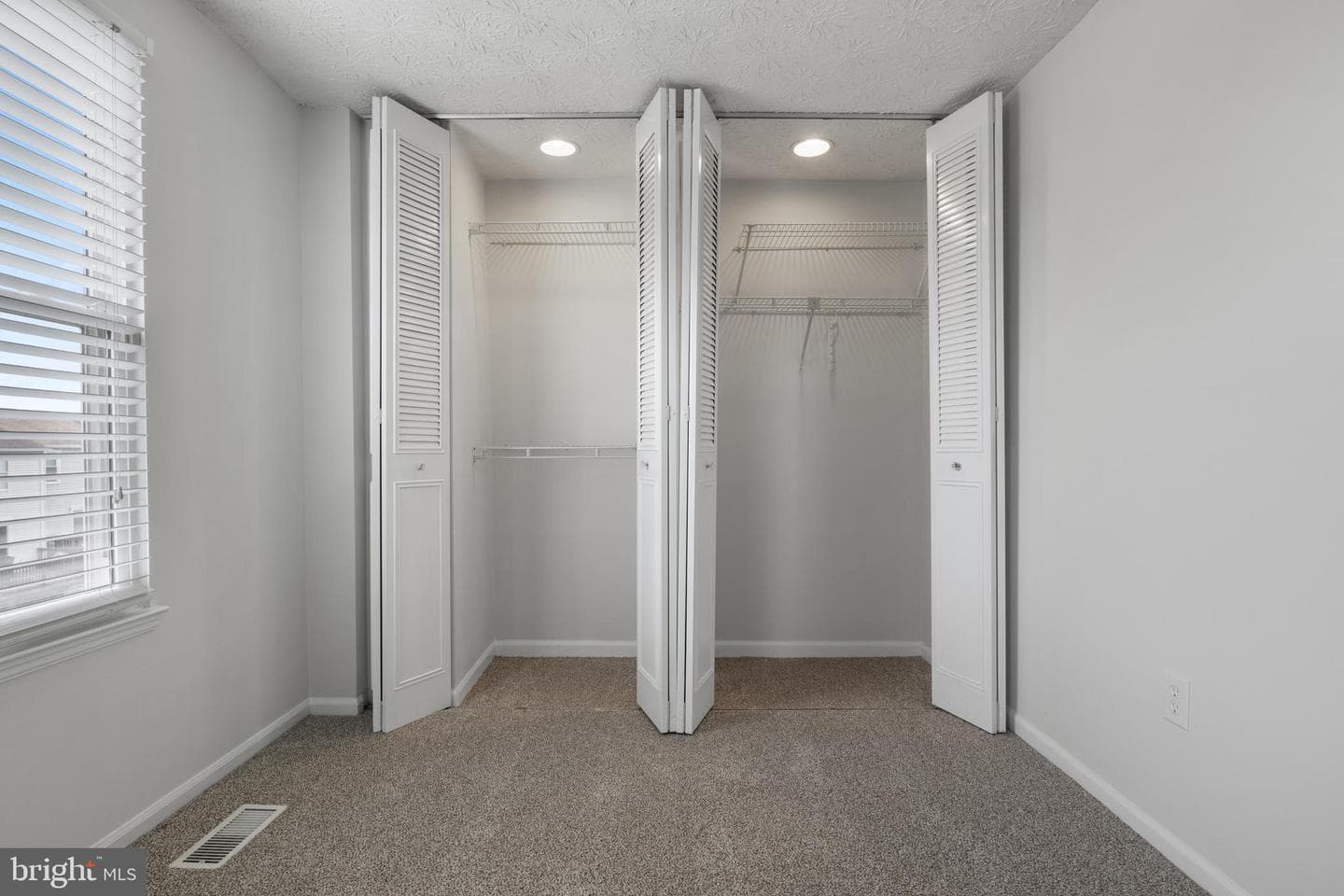 17 Camellia Court photo 19