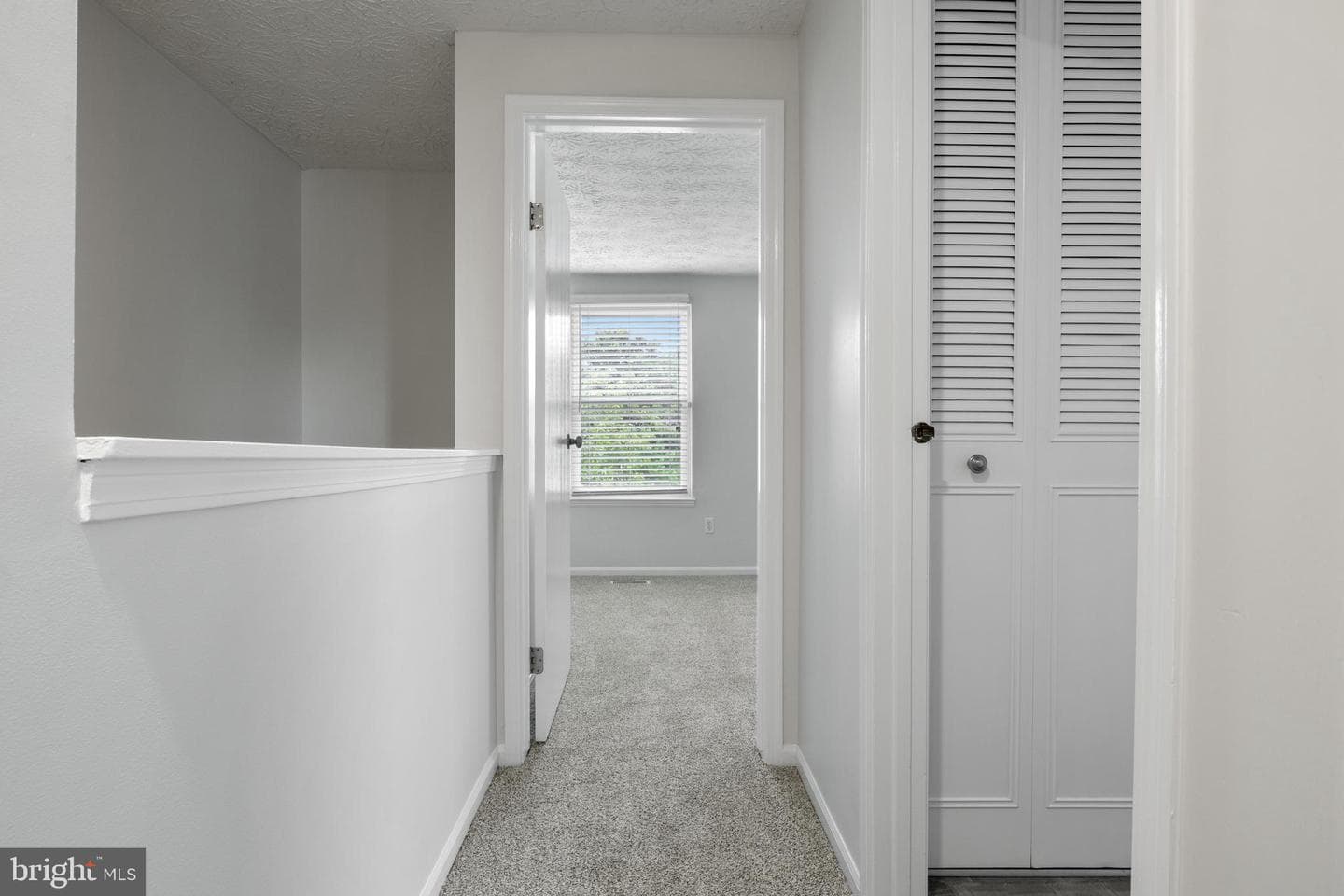 17 Camellia Court photo 20